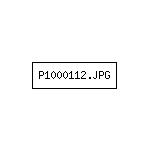 P1000112.JPG
